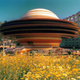 Illustration for article titled These Photos Prove That Neo-Death Stars Are Among Us
